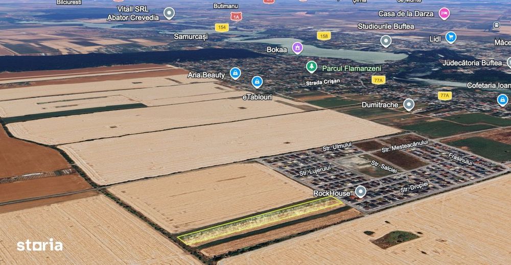 Teren intravilan 13124 mp cu front 44.5 m | Buftea - Cartierul Tineret