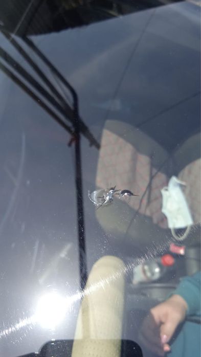 Ремонт трещин и сколов на лобовом стекле на выезд - СТО Алматы на Olx