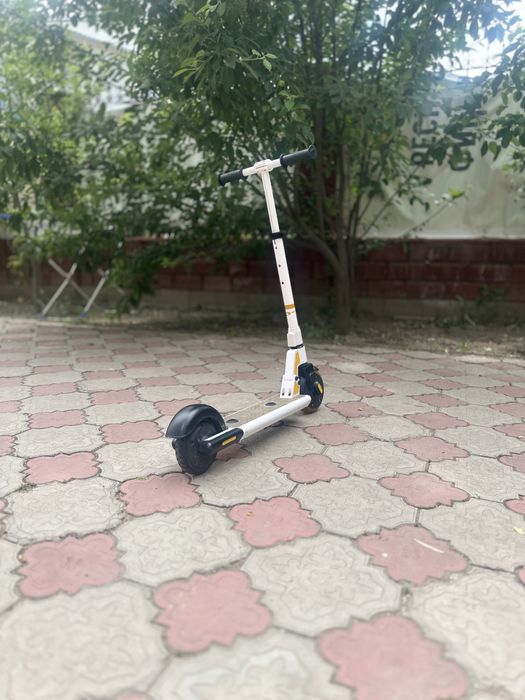 Электросамокат tribe kid