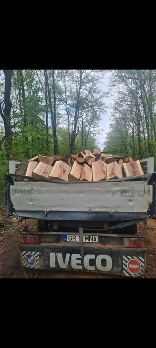 Lemne de foc Esență tare Salcâm