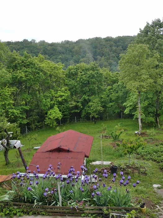 Продава се Къща в Драгоман - 30 кв.м за 952 €/кв.м - Снимка #11