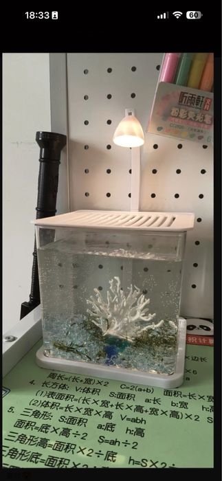 Аквариум для рыб со светильником