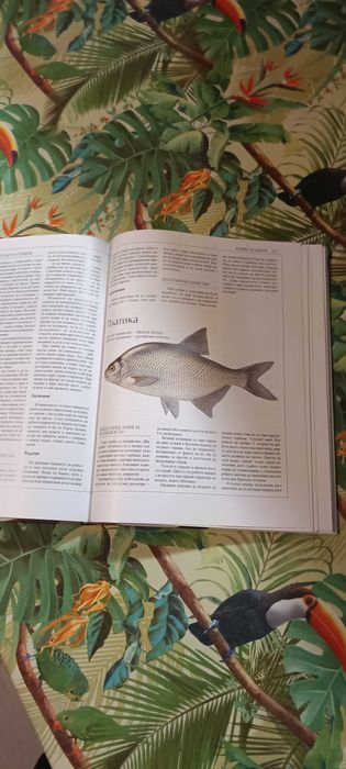 Българска риболовна енциклопедия