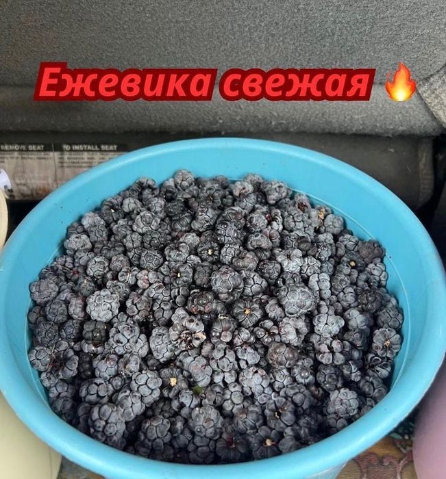 Ежевика свежая.