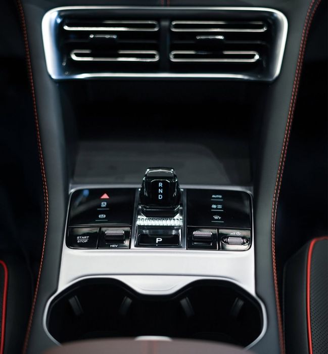 BYD chempion GIBRID 2024