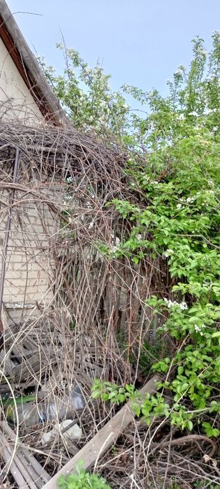 Продам дачу сад Яблонька