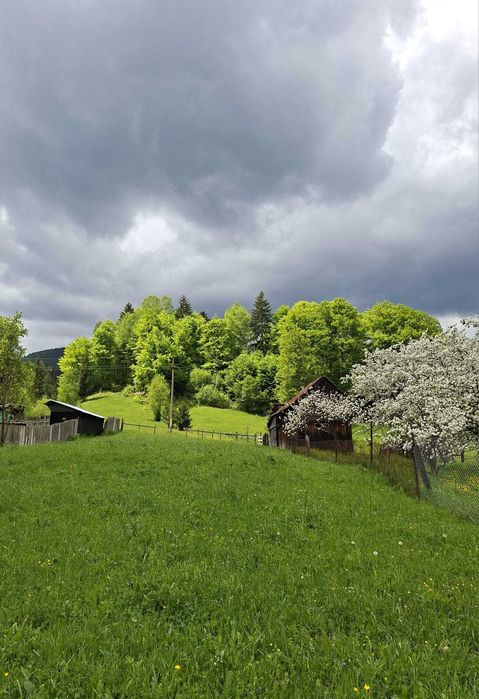 Teren pentru investitii in zona montana
