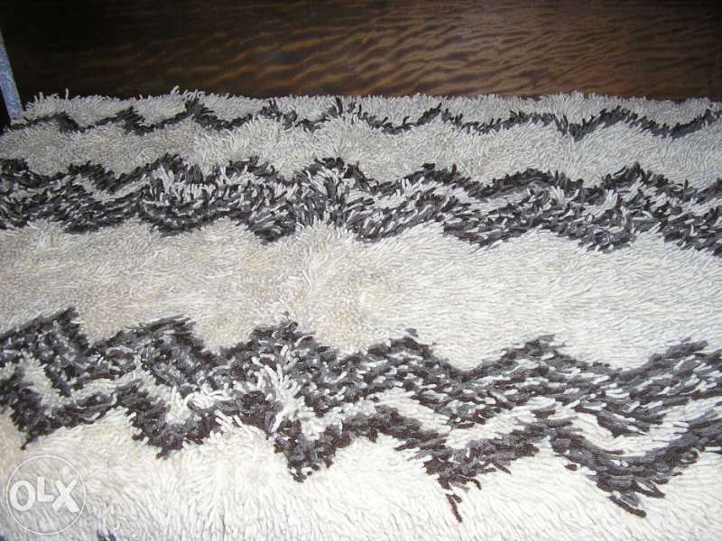 Родопски китеник