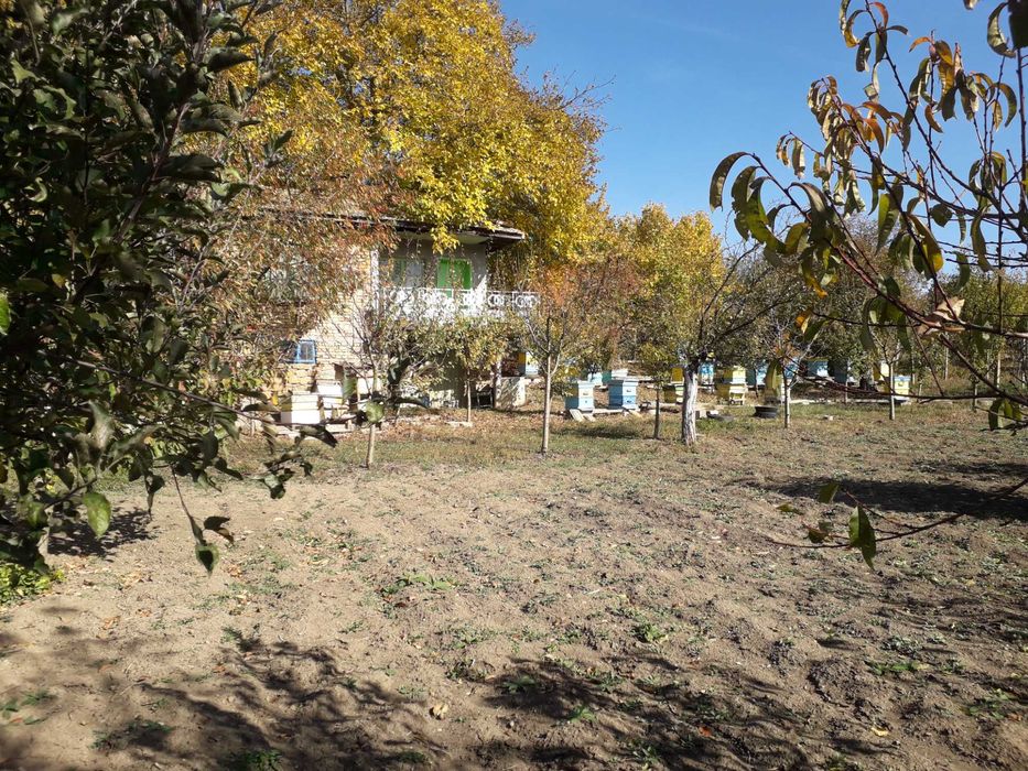 Продавам място с площ 730м2 с масивна вила в м-та Ямата на гр.Попово