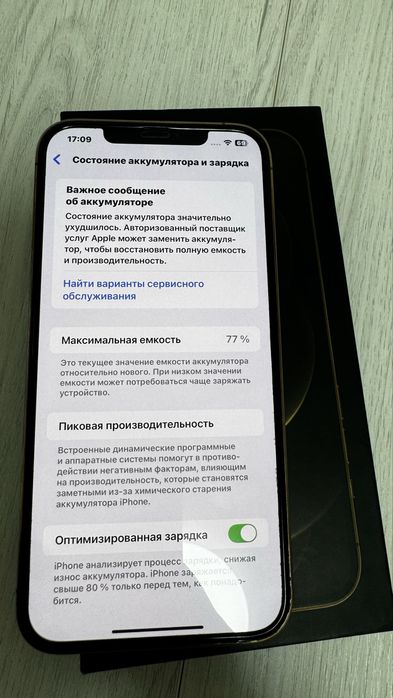 Iphone 12 Pro Max 256 Gb