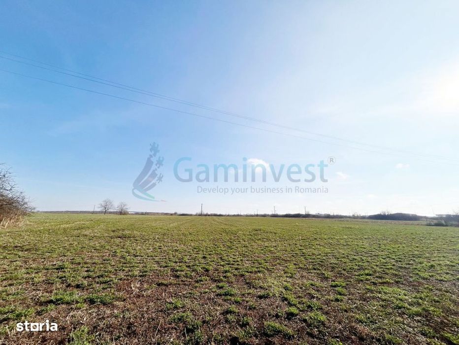 Teren industrial,Puz aprobat,P. Industrial Bors,Bihor,Gaminvest,V3892A
