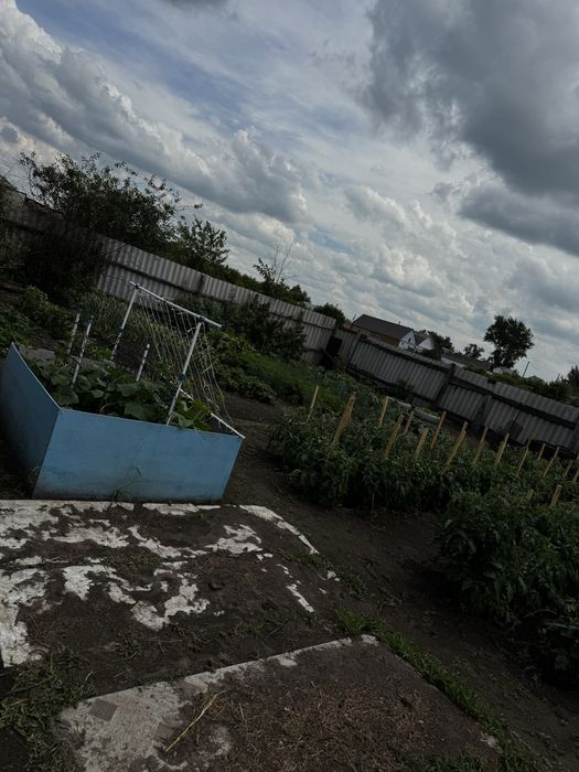 Продам дом в боровском