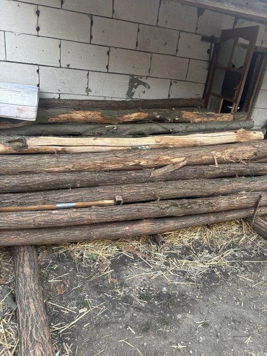 Salcâm ,preț 50 de lei bucata lungime de 3 metri !