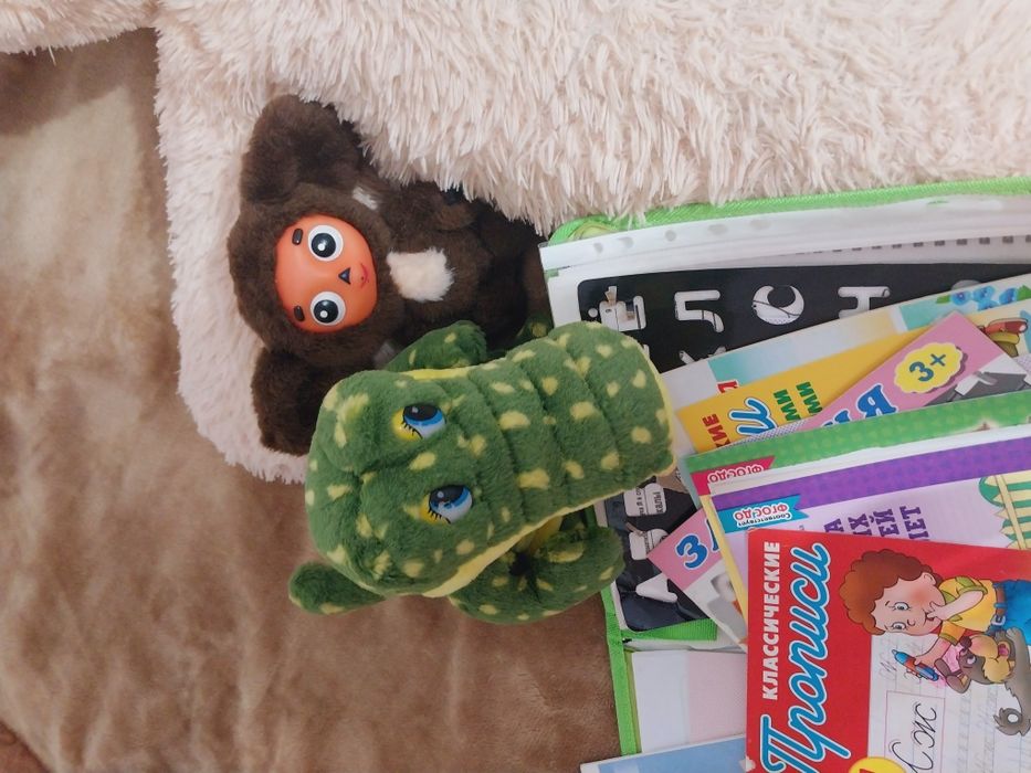 Игрушки и большой Мишка