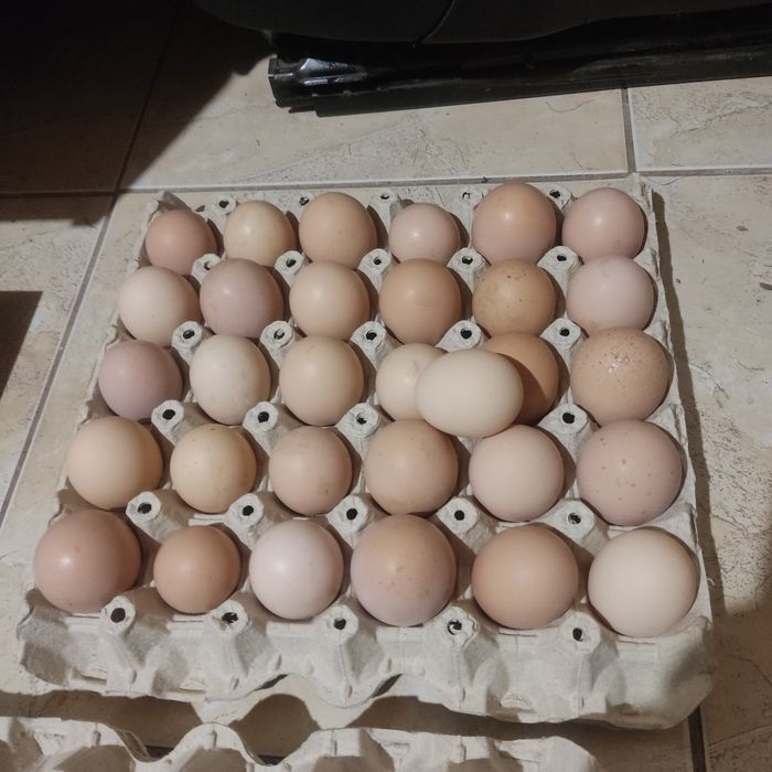 Яйца за люпене от Пуйки и кокошки