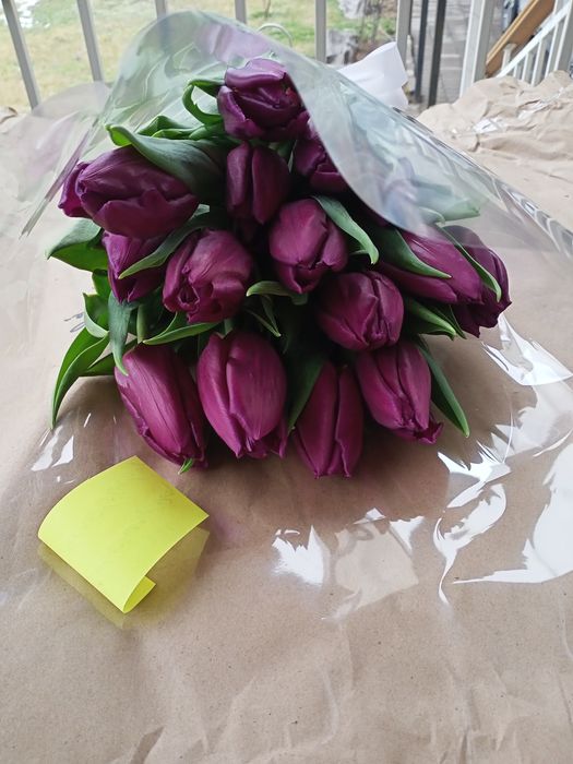 Тюльпаны к празднику