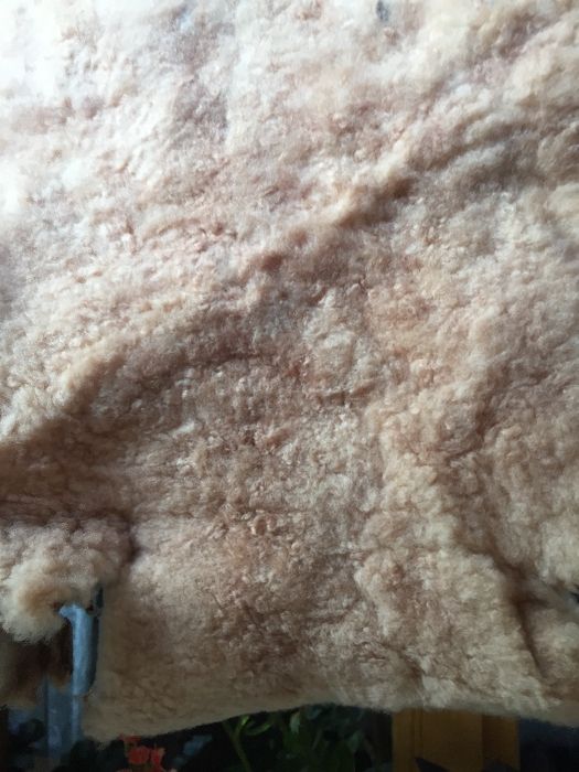 Мех цигейка натур