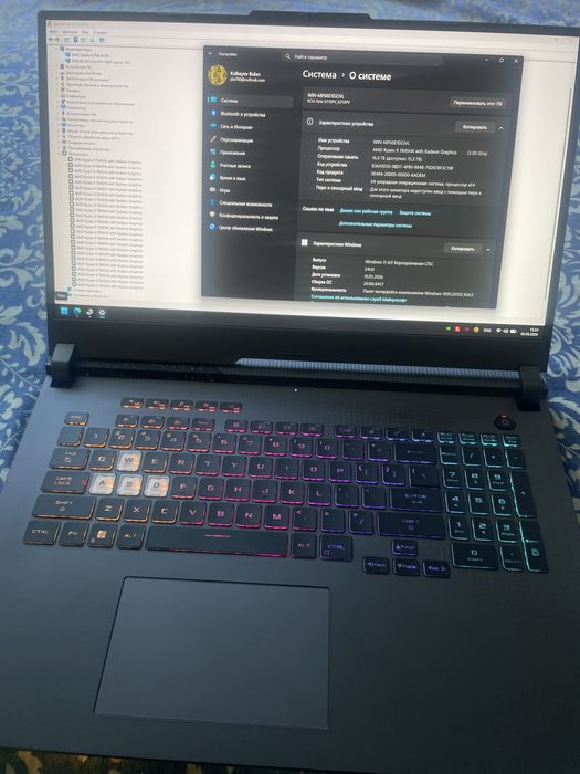 Asus Rog Strix (Ryzen 9 / 17.3 / 240Hz)