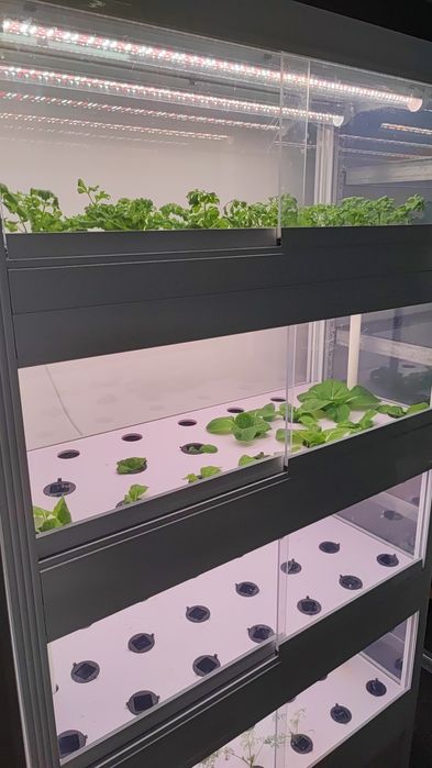 Гидропоника комплект