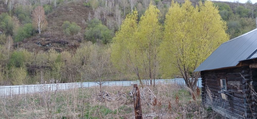 Продам участок в Горной Ульбинке, 23 сотки