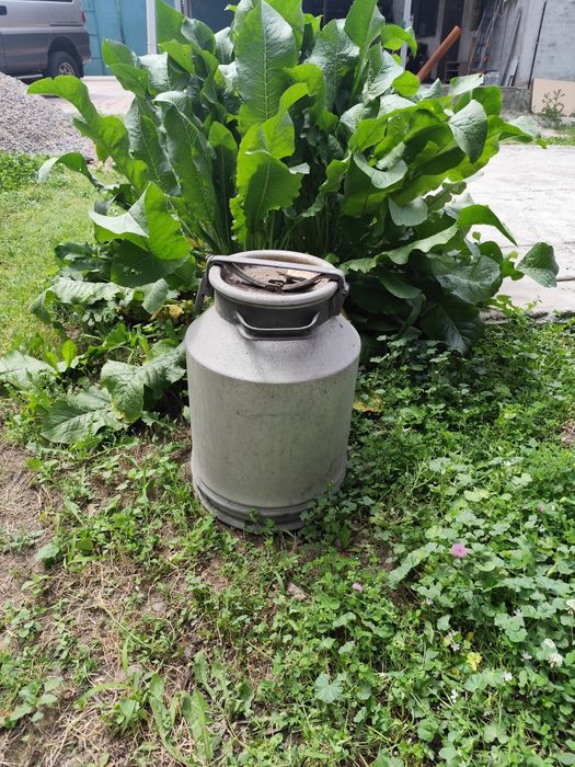 Продам Фляги 40. 25л
