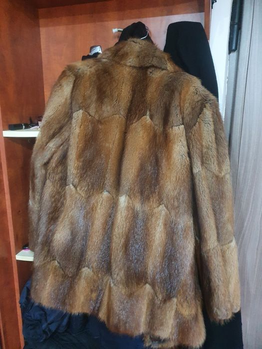 Blana naturala bizami