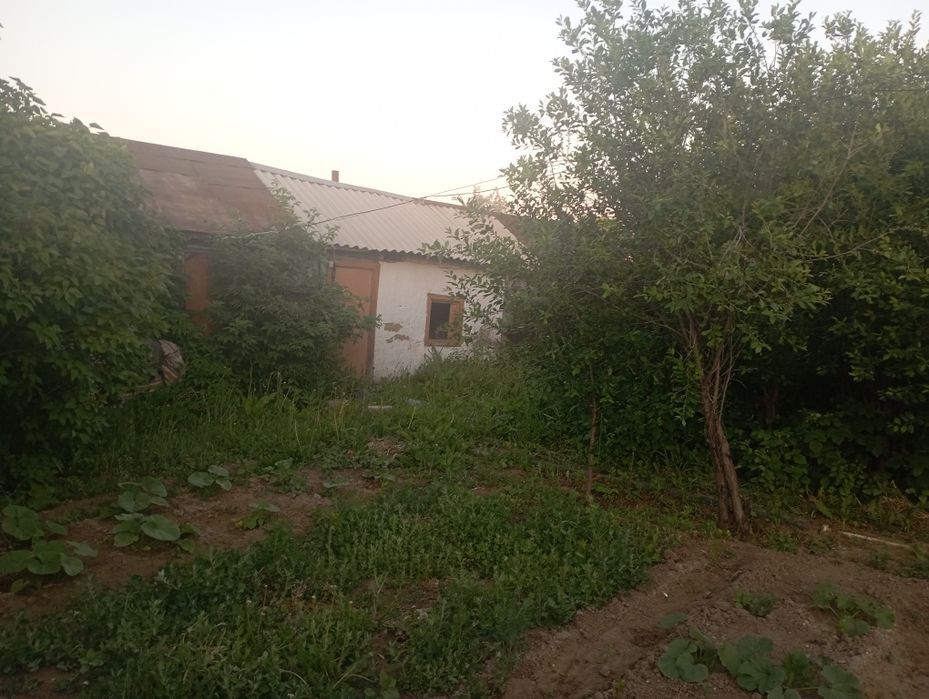 Продаю дача БАМ горняк, улица Вишнёвая