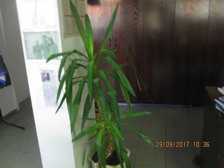 Обзавеждане за дома