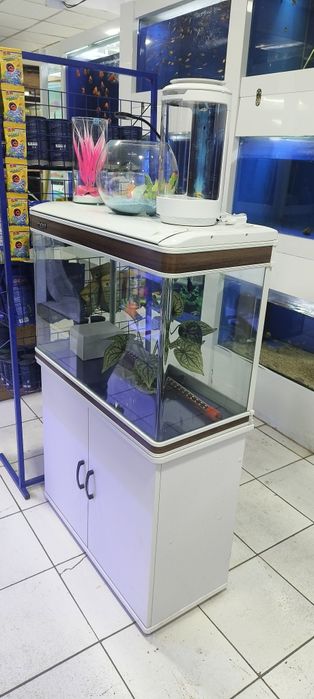 Аквариумы премиум класса