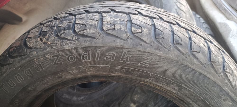 Продам шины тунга зодиак 2