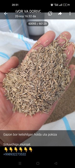 Газон уруґ бор месни унумдор