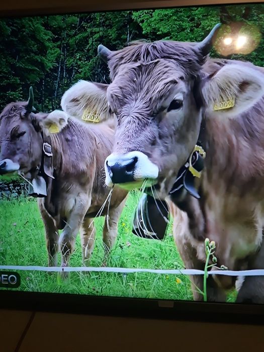 Телевизор Neo Led 23914