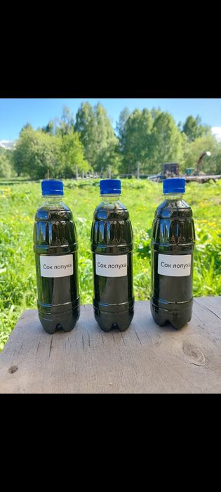 Сок лопуха майского