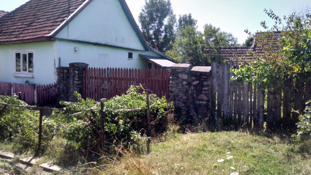 Vand casa in Susani
