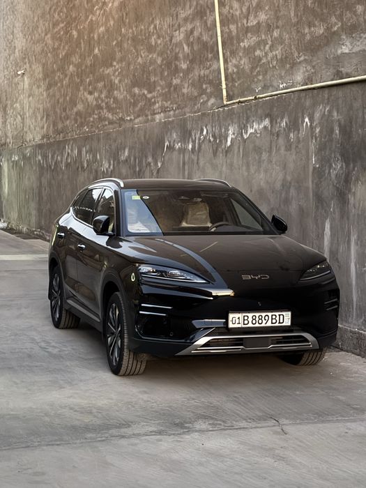 BYD champion 605/2025май