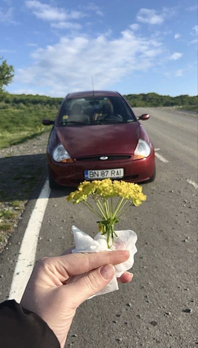 Vand autovehicul Ford Ka