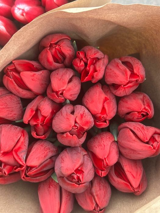 Тюльпаны оптом в Алматы