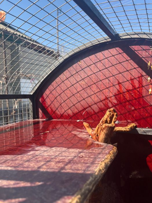 Клетка для животных