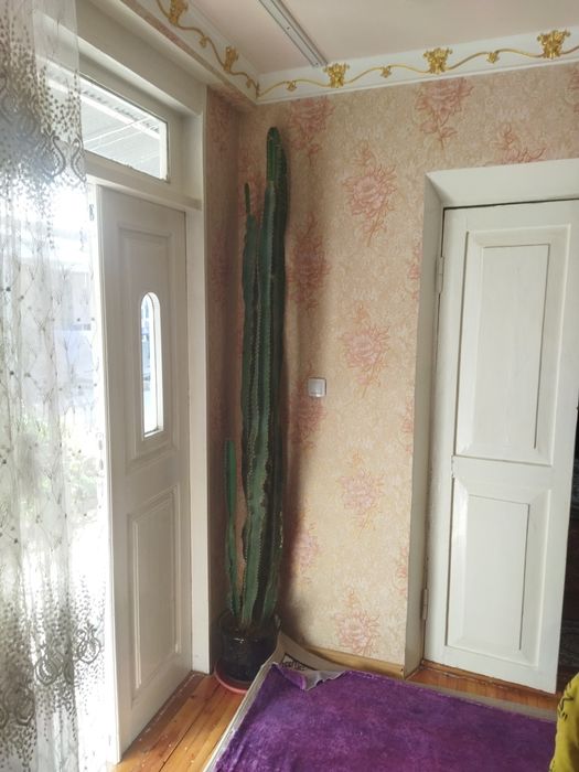 Кактус рррррриииим