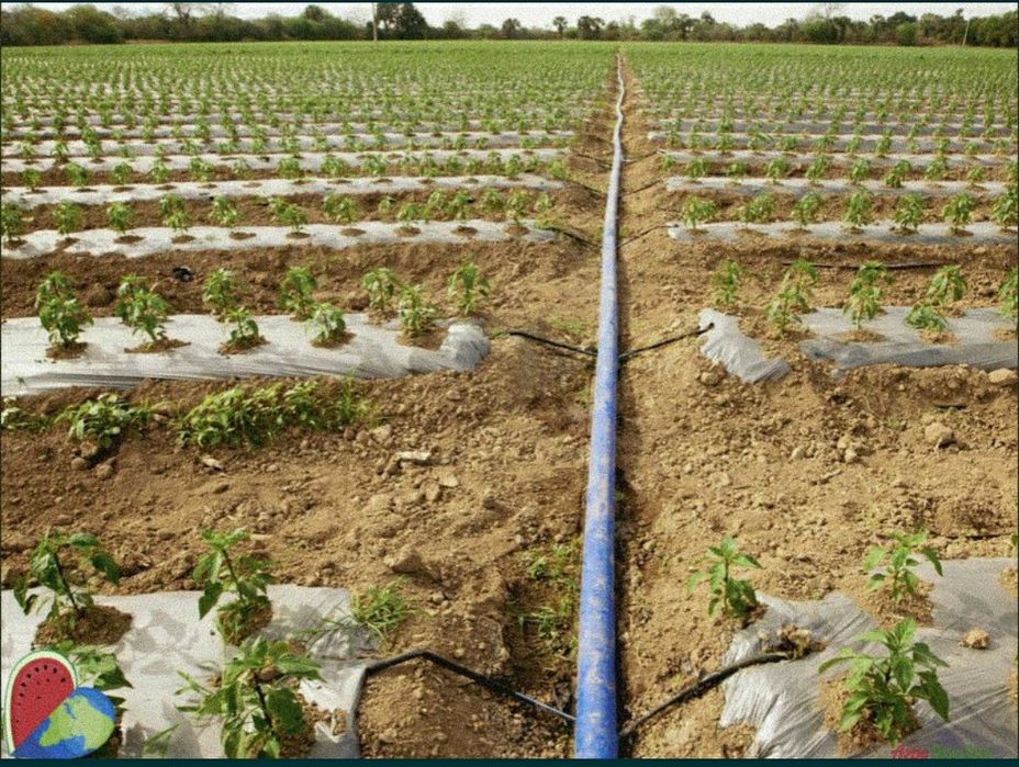 Лайфлет шланга,,