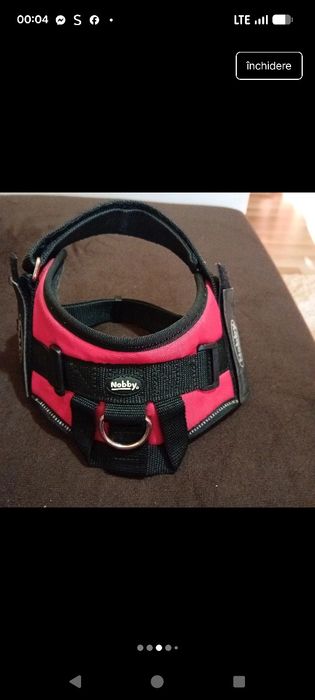 Ham pt căței Nobby