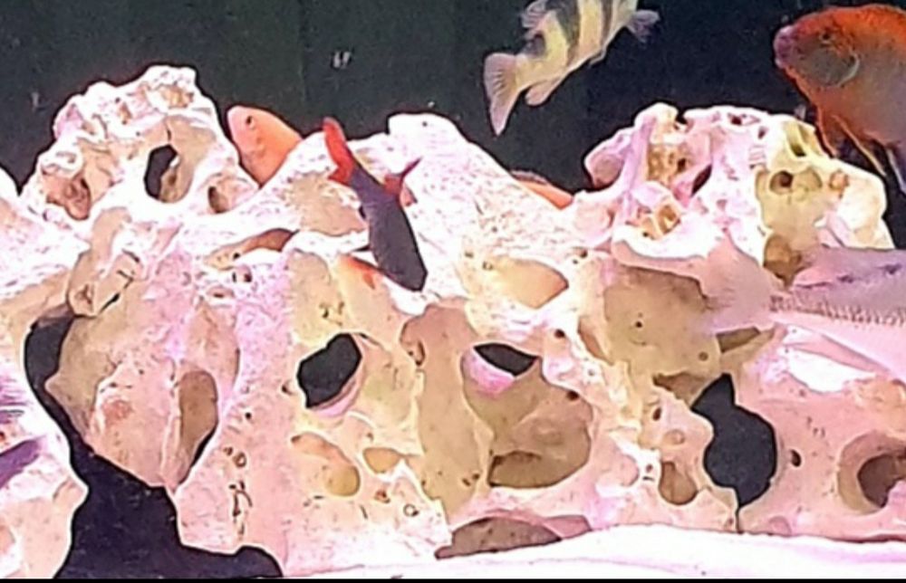 Акварумга тошлар табиий 18 кило.