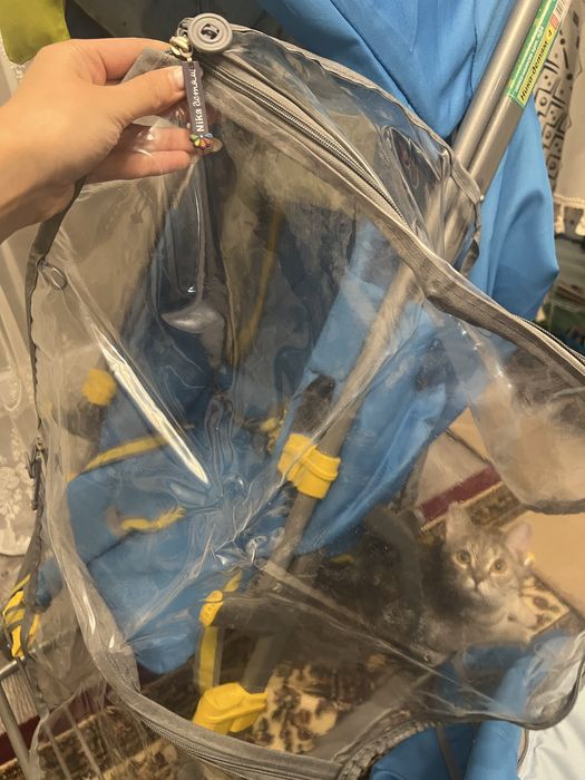 Санки Nika, Россия