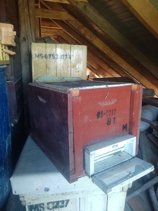 Lazi petru stupi 100buc, stas 10 rame