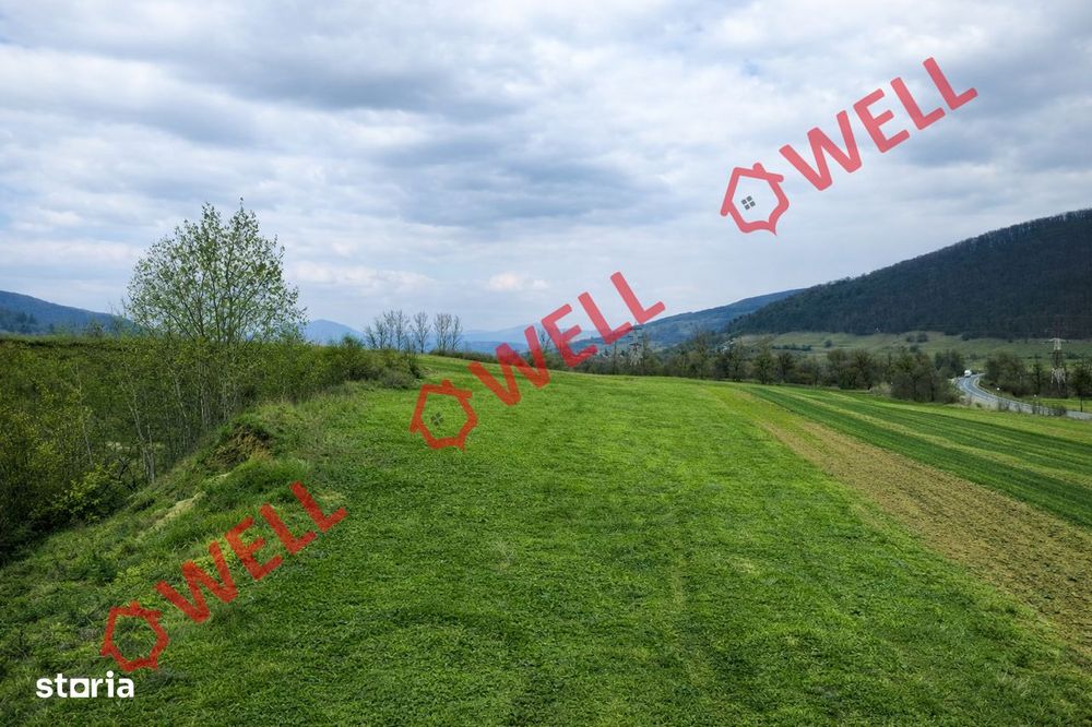 De vânzare teren extravilan între Olteni și Malnaș!