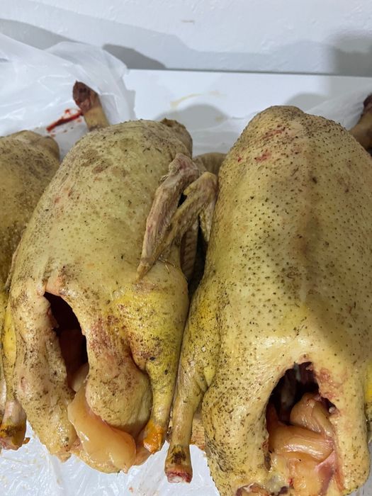 Башкирская утка, готовая к выпечке