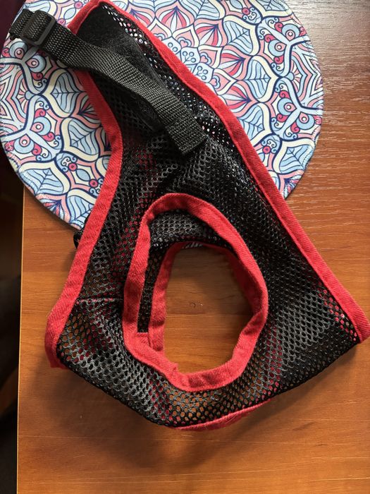 Ошейник, шлейка доя собак