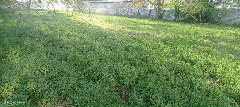 Участок Жанакурлусе