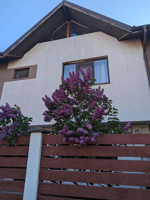 Închiriere casa comuna Berceni