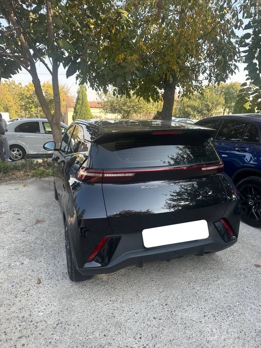 BYD seagul 2024 yil
